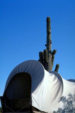 愛知県安城市の快適な滞在を実現する東横INN三河安城駅新幹線南口2の魅力と詳細情報