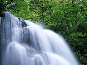 奈良県桜井市で1円パチンコするならここです。