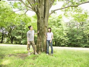 家族で楽しむ！石垣島アクティビティ完全ガイド – 自然体験と安全な遊びを満喫しよう