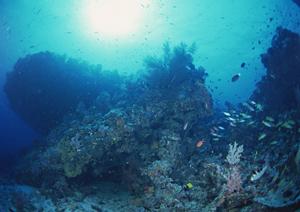 横浜のビジネス宿泊に最適！東横INN横浜関内の魅力と利便性完全ガイド