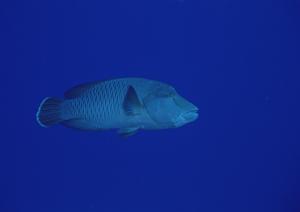 神奈川県平塚市の快適な滞在を実現！東横INN湘南平塚駅北口2の魅力と詳細情報