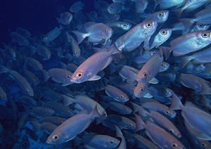 千葉県袖ケ浦市のビジネスホテル「東横INN袖ケ浦駅北口」｜快適な宿泊とアクセスの良さを実現