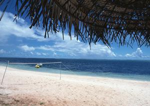 和歌山県で釣り船をお探しの方におすすめ