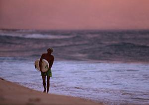屋久島で非日常のエキサイティングな旅を