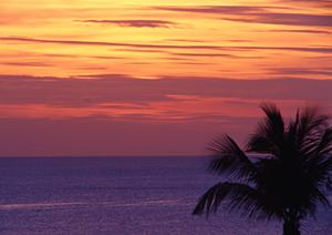 【公式】東横INN小倉駅南口：福岡県北九州市で快適なビジネス・観光滞在を実現するホテルガイド