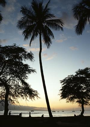 松本駅東口から徒歩3分の便利なビジネスホテル｜東横INN松本駅東口の魅力と詳細情報