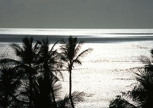 福島県白河市に位置する東横INN新白河駅前の魅力と詳細情報