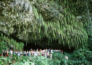 宮古島観光をもっと快適に！レンタカー利用のポイントとおすすめプラン