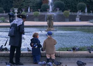 【公式情報】東横INN府中南武線南多摩駅前｜快適で便利なビジネスホテルの詳細ガイド