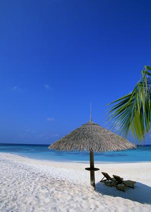 羽田空港直結のホテル「住友不動産ヴィラフォンテーヌ羽田空港空港国際線ターミナル直結」の魅力と詳細情報