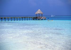 京都四条大宮に位置する快適なビジネスホテル｜東横INN京都四条大宮の特徴と魅力