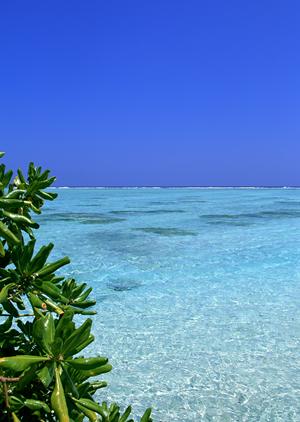 湯めぐり観光するなら下呂温泉が最適