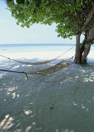 東京にあります魅力的なスパ施設について