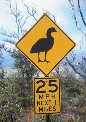 中古カラオケ売買サイトについて