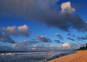 しまなみ街道の民宿のことのご紹介